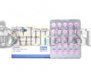 Купить Mesterolone (провирон) от zphc