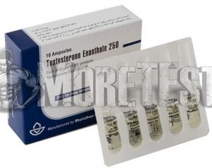 Купить Testosterone Enanthate 10ml (тестостерон Эн) от Aburaihan
